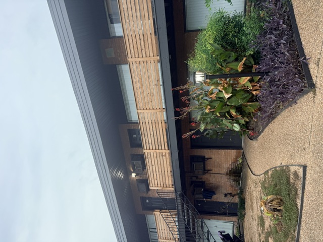 4320 Leeland Street - 15